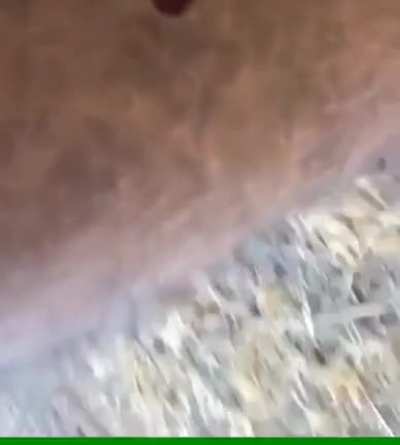 two bullets and a idiot with hammer