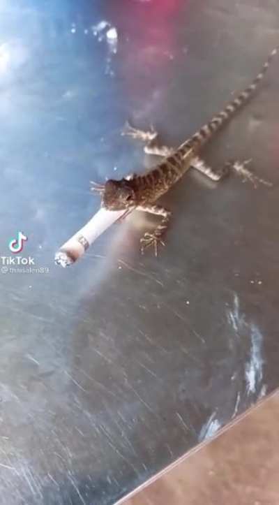 Krazy butiki