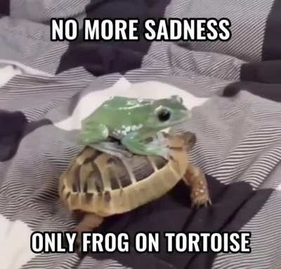 No more sad