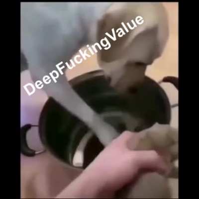 Hold $GME retards