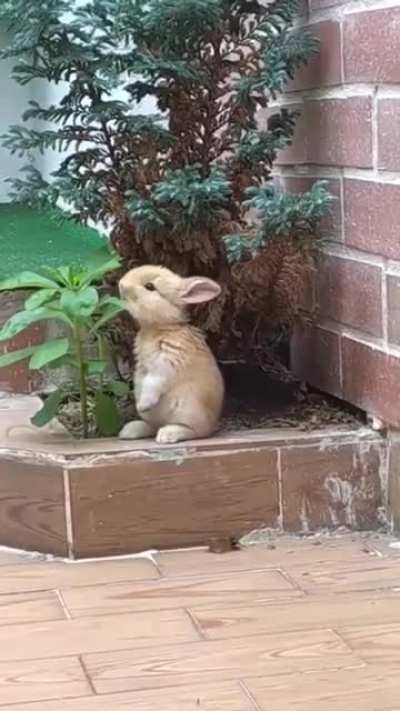 We don't want any trouble mister