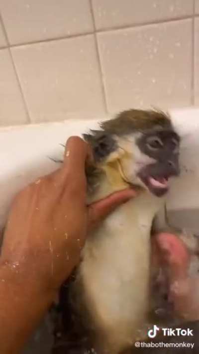 El admin durante estos 7 d&iacute;as