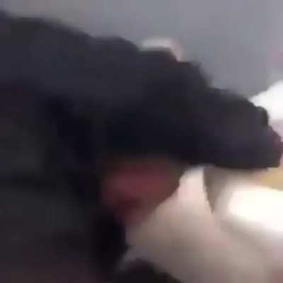 pee punch