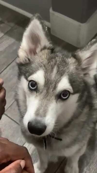 BeST FreN eAtS HooMAn FiNGeR