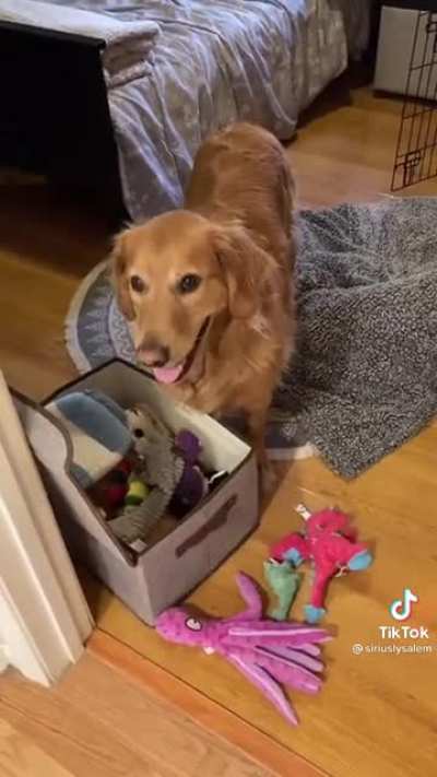 Sirius&rsquo; learned tricks