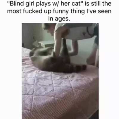 Playing with the Cat💀