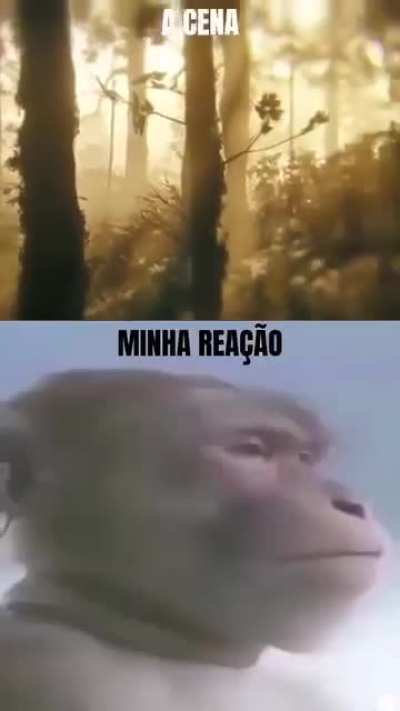 Minha rea&ccedil;&atilde;o 