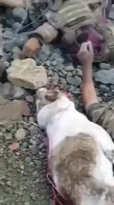 The PKK attack that killed 12 Turkish soldiers in 48 hours just 3 weeks ago. Aftermatch, very graphic content.