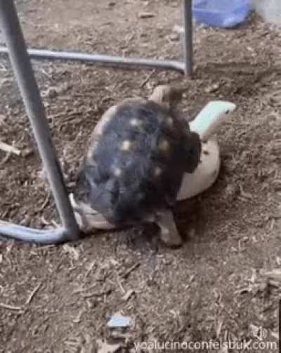 hmmm