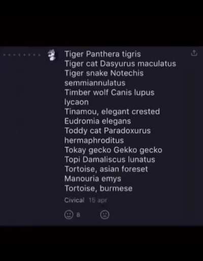Eres un furry?