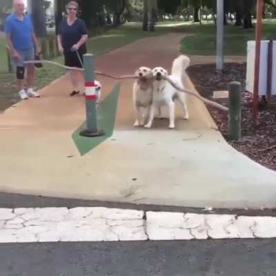 We all need a helping hand sometimes