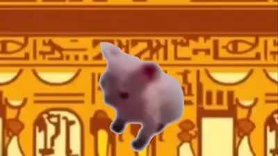 gato baila