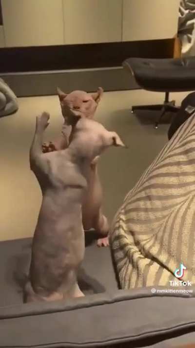 O barulho