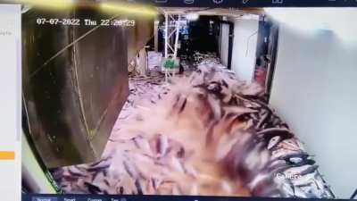 Huge mess in fish factory