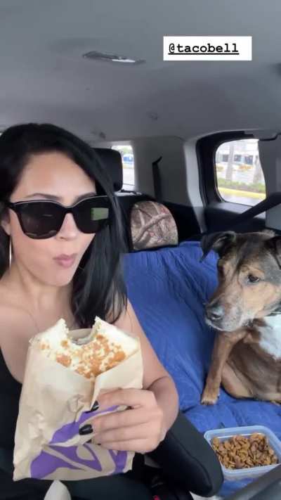 Taco Bell part 2