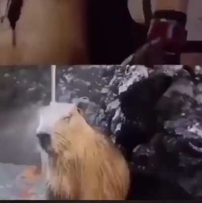Relevant