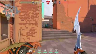 Found this new plant spot on Ascent