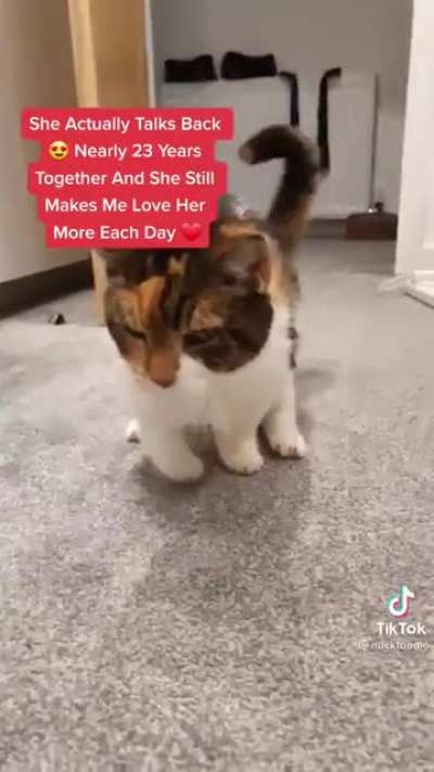 The love of a pet&hellip;. Ever eternal