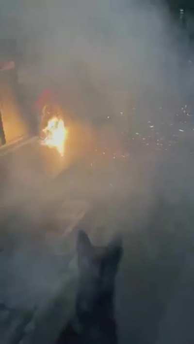 Fire Marshall Bill the Dog