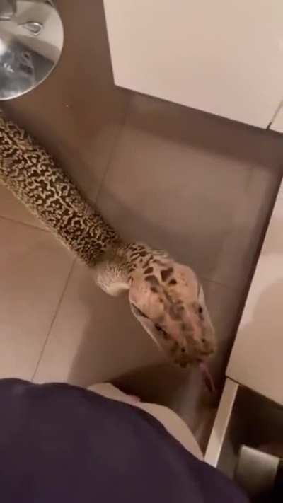 everybody loves noodles
