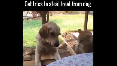 " I'm Gonna STEAL It. " 😠