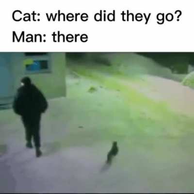 Cat🤝Man