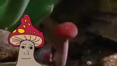 Shrule