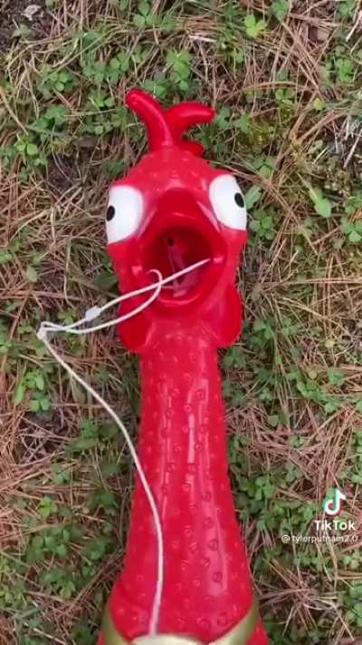 I need to get me one of those.