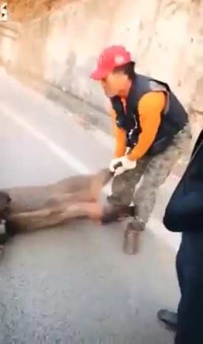 Hunter kills a wild boar with an axe.