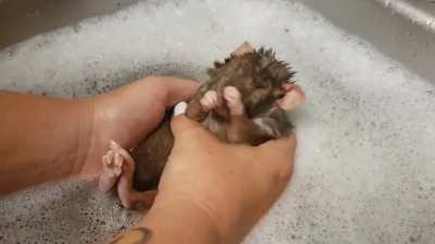 No matter how old you are, There's always bathtime.