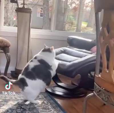Thicc boi