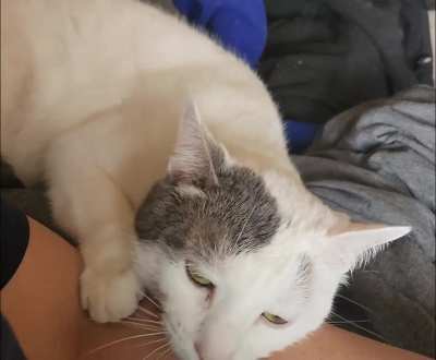 Sno needs to cuddle.