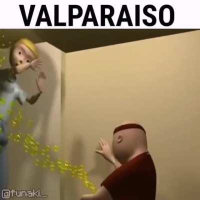 Valpo qlo feo
