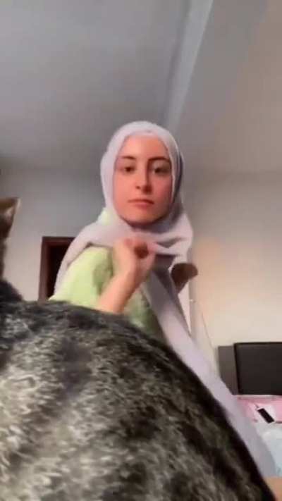 Cat be like AAAAaaa