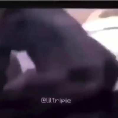 @liltripie