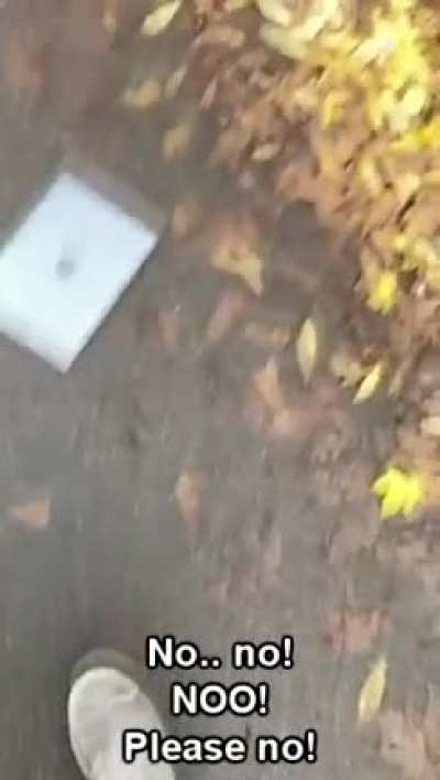 what could go wrong throwing you new iPad to be 