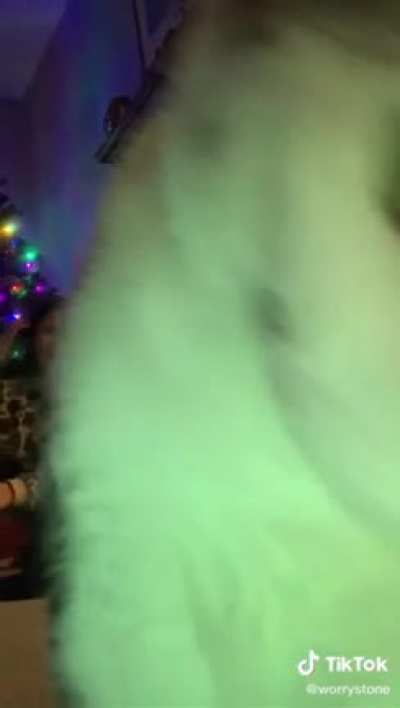 Touch Tha Camera
