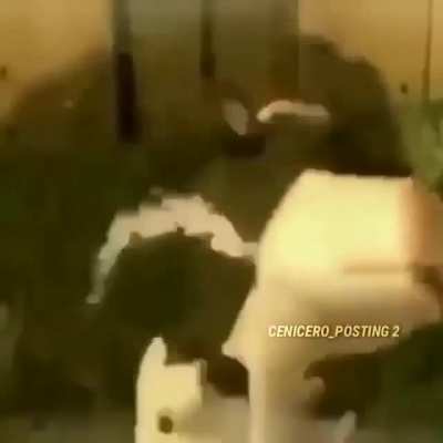 Bueno ya logre recuperar memes