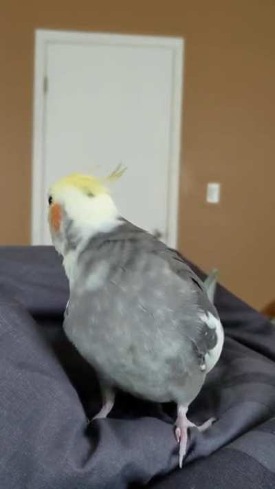 He tries his best