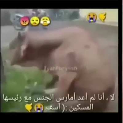 facebook emogis 😡🤙