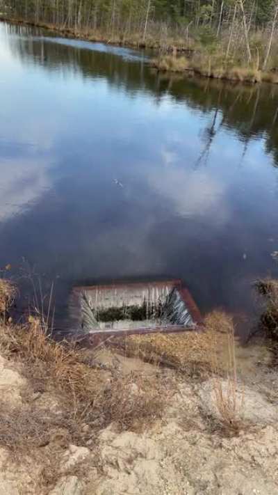 If delta p has taught me anything, it&rsquo;s that the size of the hole doesn&rsquo;t matter. Found this on a neature walk