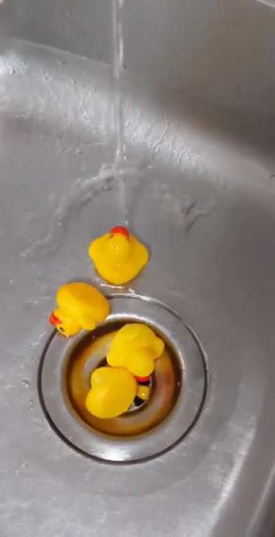 Perfectly cut quack