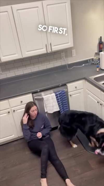 Dog can save lives.