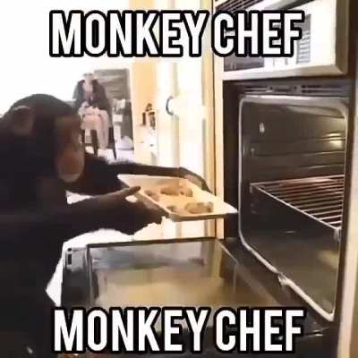 Cooking monky