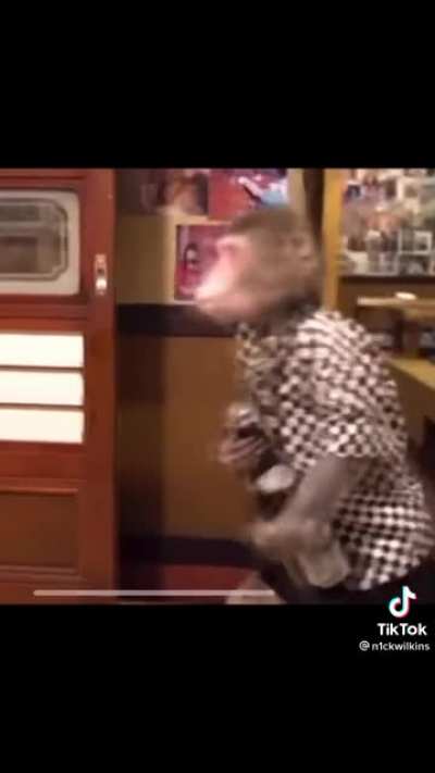 Monke