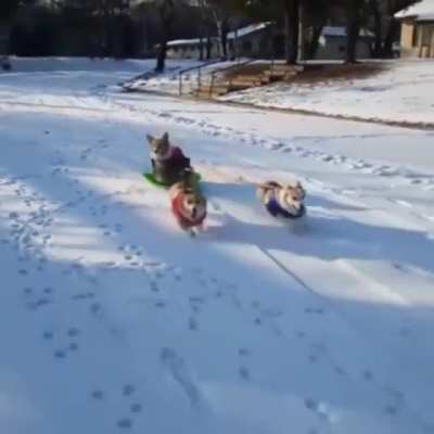 The Snowy Express