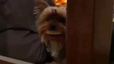 Sorria, voc&ecirc; est&aacute; sendo filmado