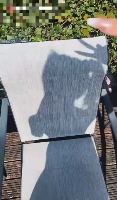 POV : you&rsquo;re spending your weekend watching her shadow 🥵