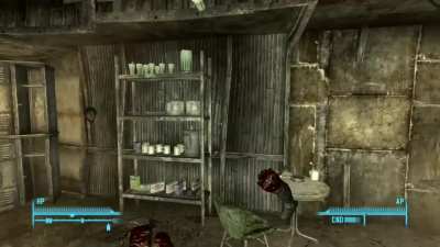 [Fallout 3] I don&rsquo;t even know how to describe this.