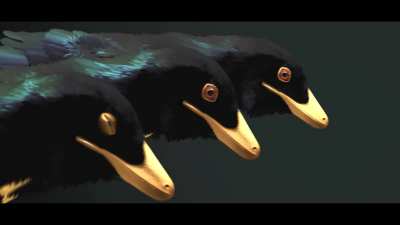 microraptor.mp4